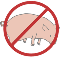 pig